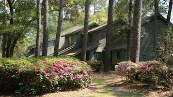 Khuôn viên nơi lưu trú