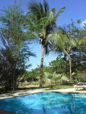 Outdoor pool, sun loungers