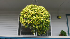 Standard Room, 2 Queen Beds, Non Smoking | Terrace/patio - Mermaid Inn (Long Beach)