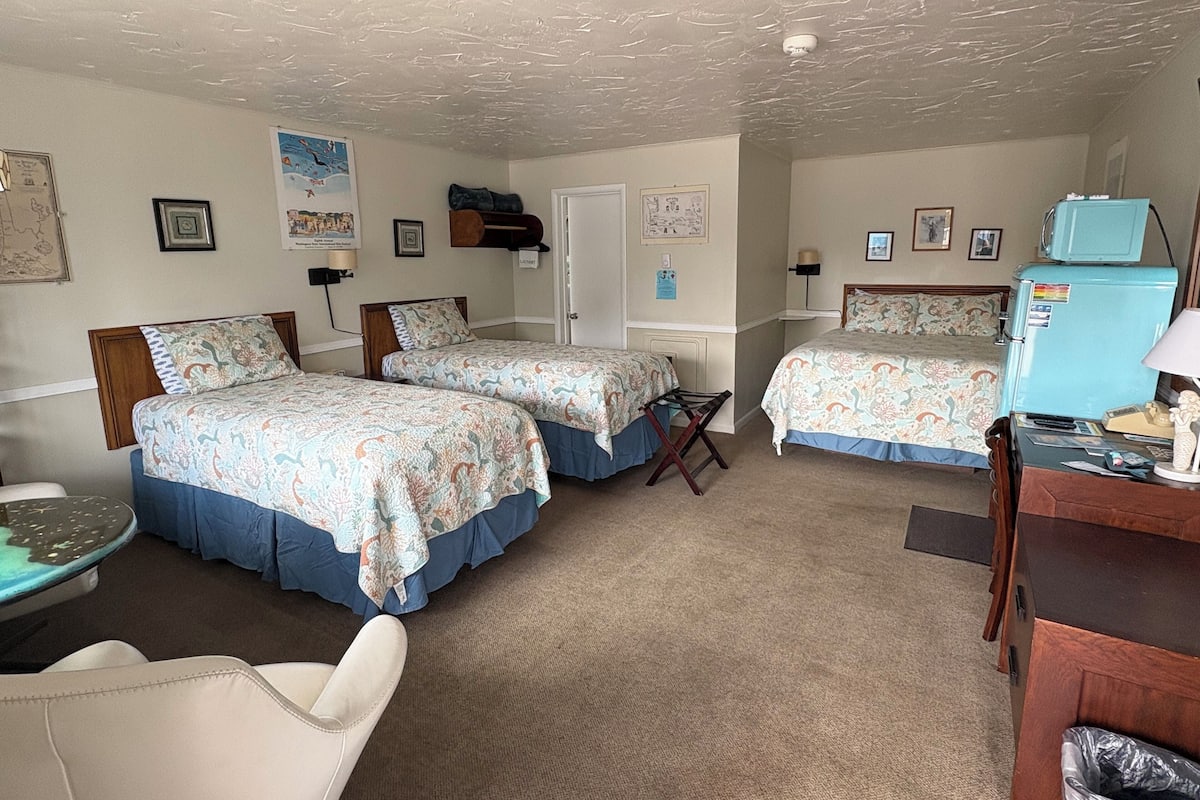 Standard Single Room, Multiple Beds, Non Smoking