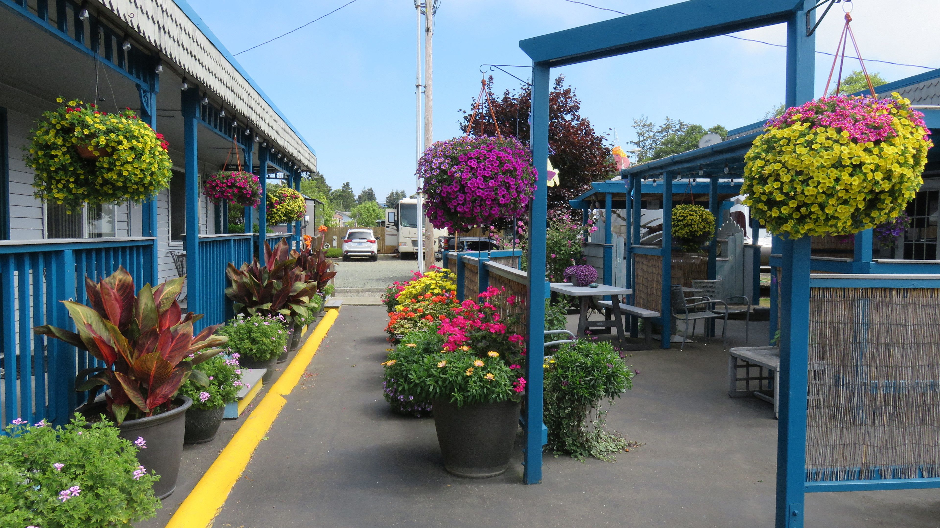 منطقة شواء/نزهات