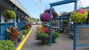 BBQ/picnic Area - Mermaid Inn (Long Beach)