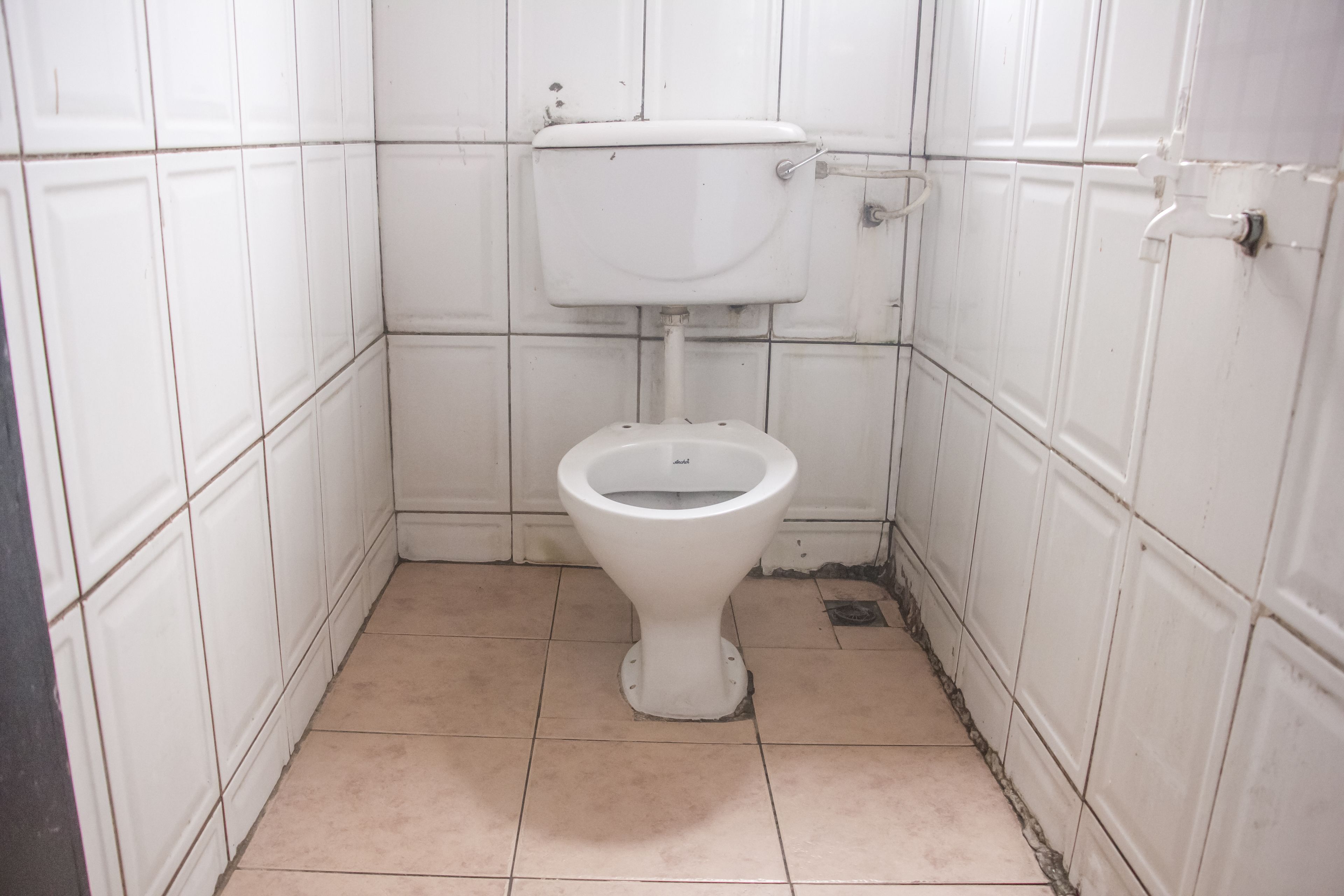 Emota Paradise Phase 1