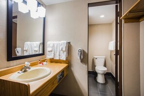 A modern bathroom with a wooden vanity, a large mirror, a toilet, and a hand dryer. - Baymont by Wyndham Appleton (Appleton)