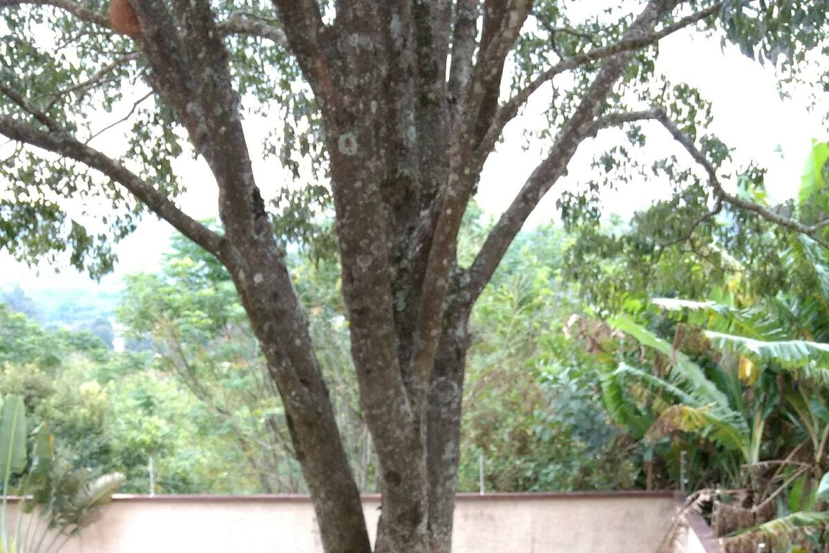 Superior Double Room, 1 Bedroom | Balcony