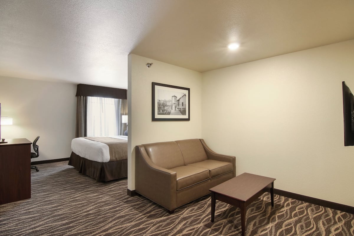 A hotel room with a bed, a sofa, a small table, and a desk.