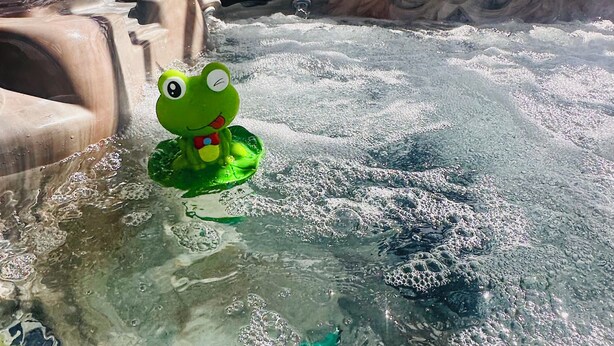A hot tub with a frog toy in the water, surrounded by a wooden fence and yellow flowers. - Moosehead Lodge & Cabins (Rangely)