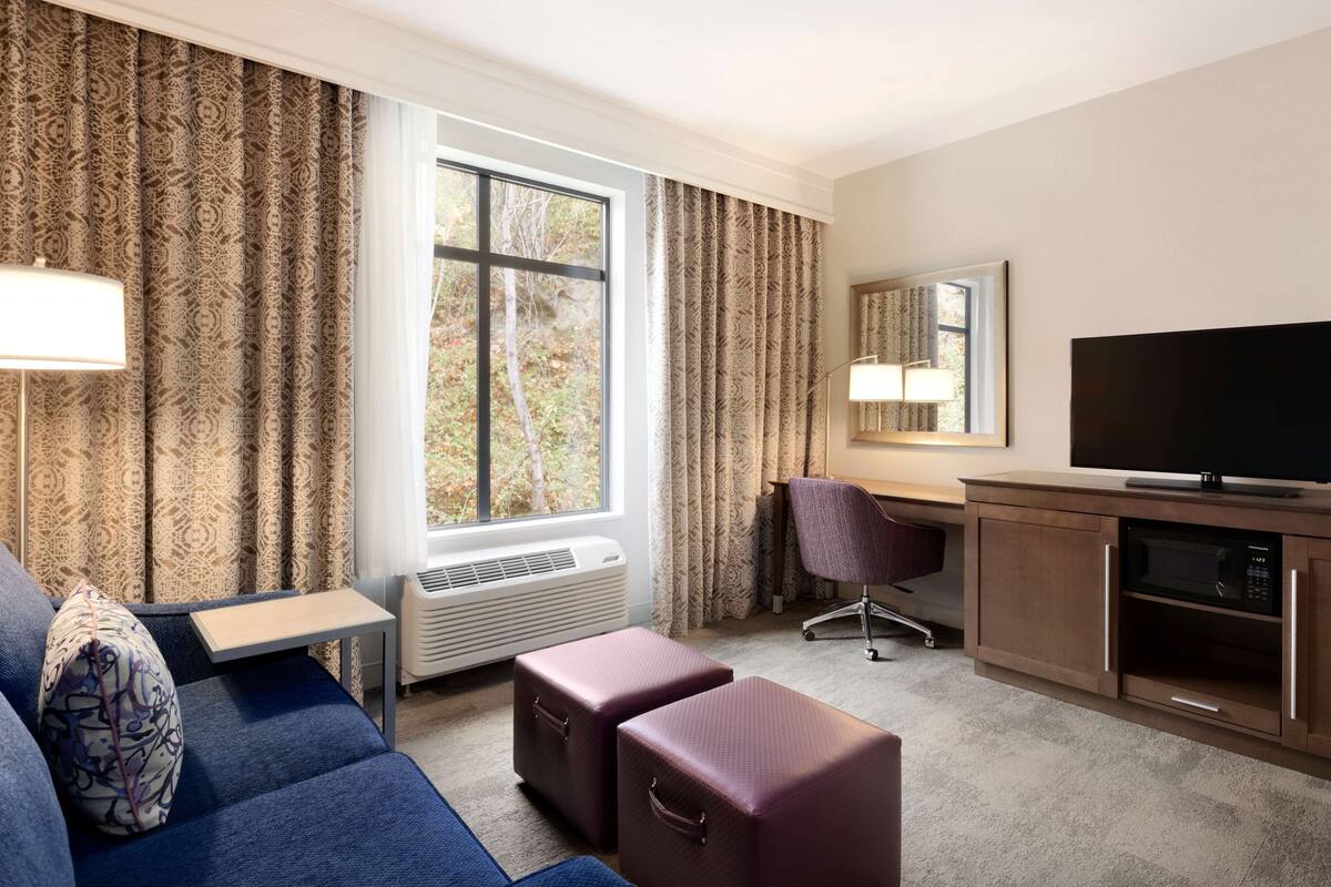 A hotel room with a sofa, two luggage pieces, a desk with a chair, a television, and a large window with curtains.