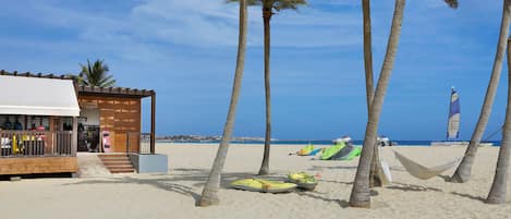 Escena de playa con un edificio de madera, palmeras y equipo de playa.
