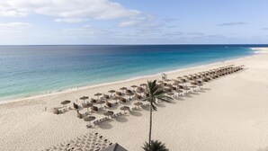 A beach with rows of sun loungers and umbrellas, a palm tree, and a clear view of the ocean. - Hilton Cabo Verde Sal Resort (Sal)