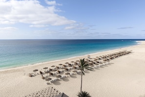 A beach with rows of sun loungers and umbrellas, a palm tree, and a clear view of the ocean. - Hilton Cabo Verde Sal Resort (Sal)