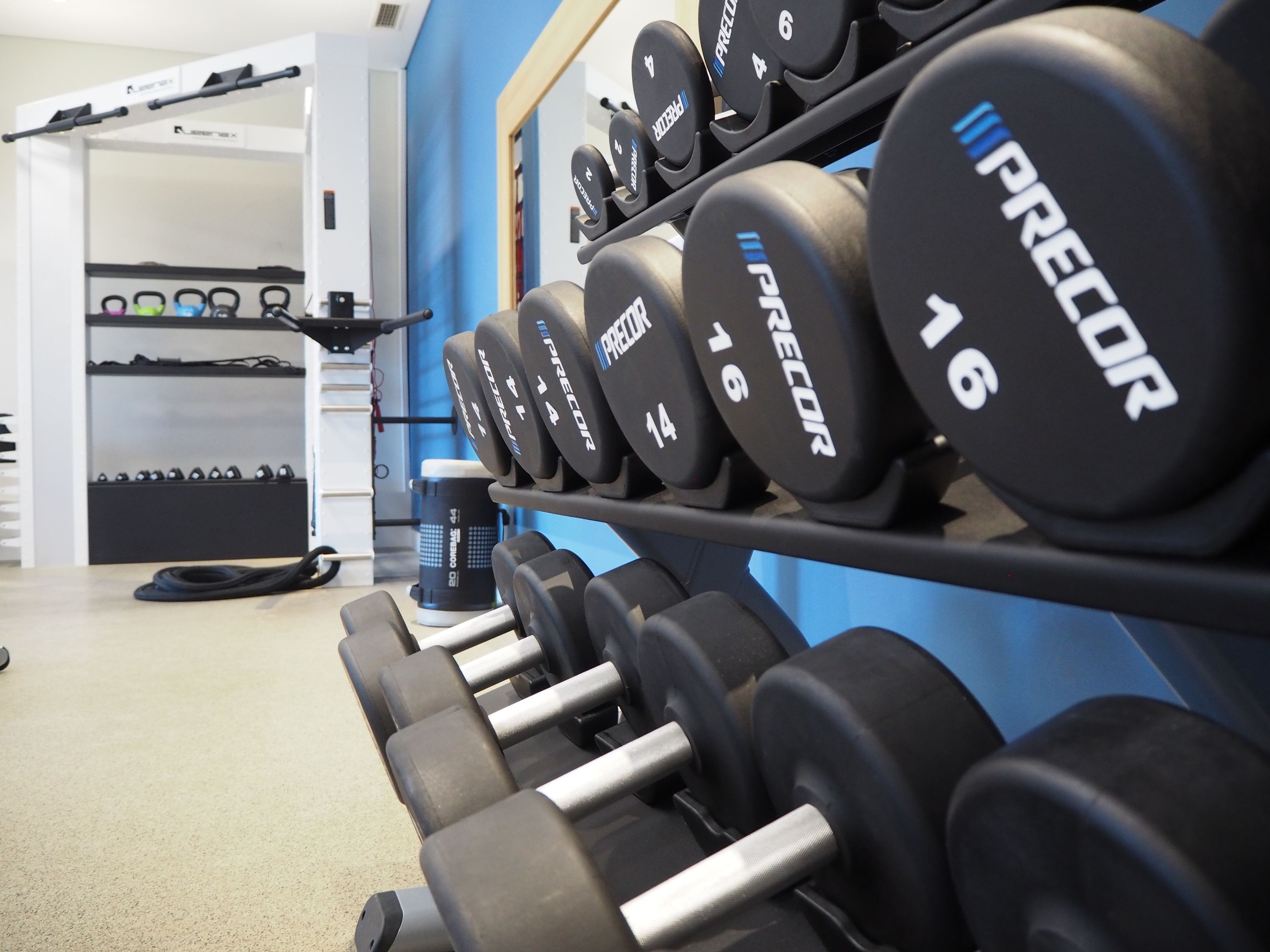 A row of dumbbells labeled 'PRELOR' on a rack in a gym.