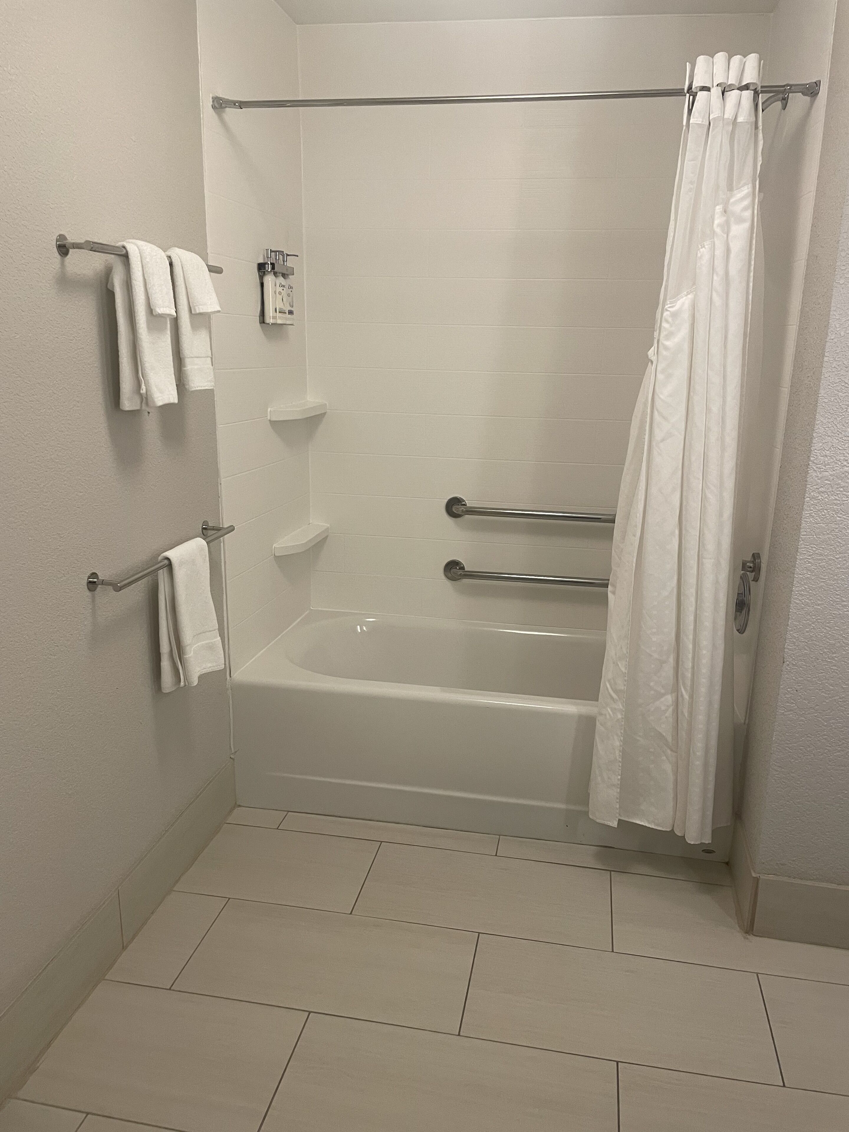 suite, 1 king bed with sofa bed, accessible (mobility, accessible tub) | bathroom | free toiletries, hair dryer, towels, soap