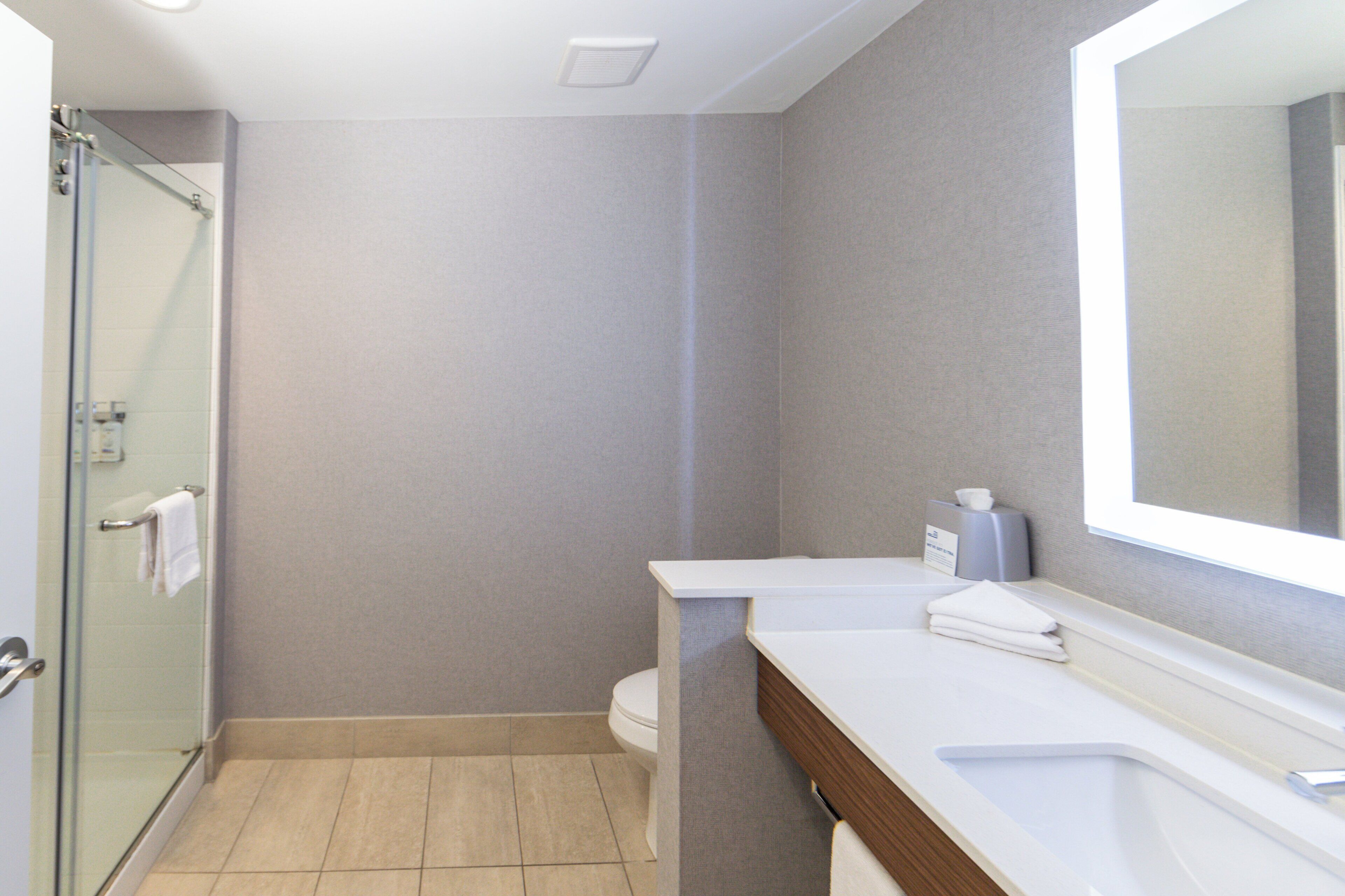 A modern bathroom with a glass shower enclosure, a white sink, and a large mirror.
