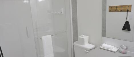 A modern bathroom with a glass-enclosed shower, a toilet, a sink, and a mirror.