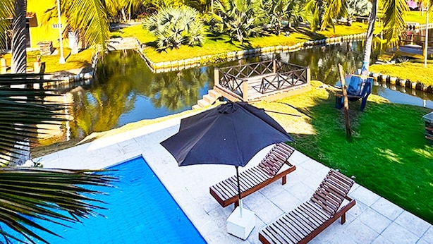 Een zwembad met ligbedden en een parasol, omringd door palmbomen en een klein waterlichaam.