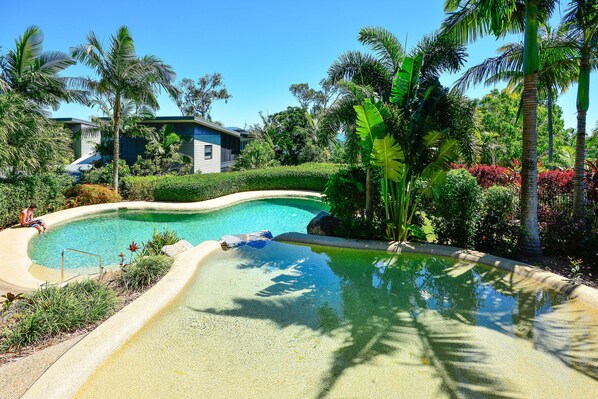 Uma piscina rodeada por vegetação tropical e um edifício ao fundo.