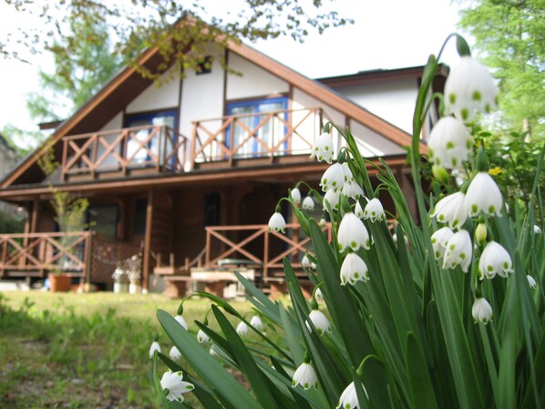 Exterior detail - Hakuba Megeve (Hakuba)