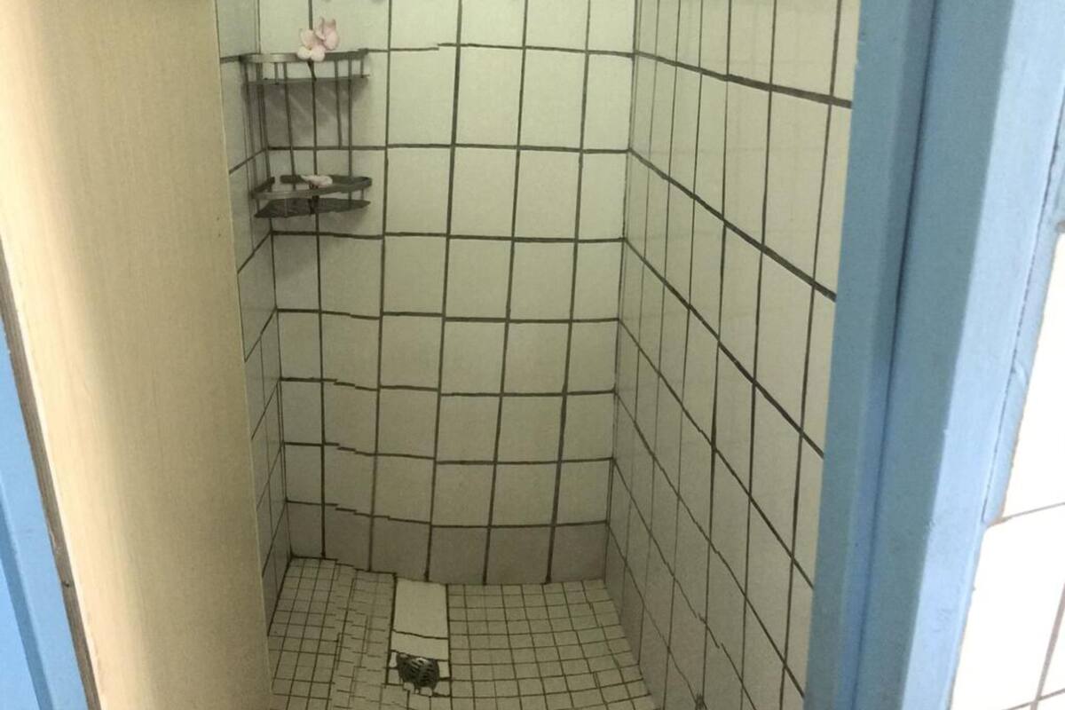 shower, hydromassage showerhead, towels