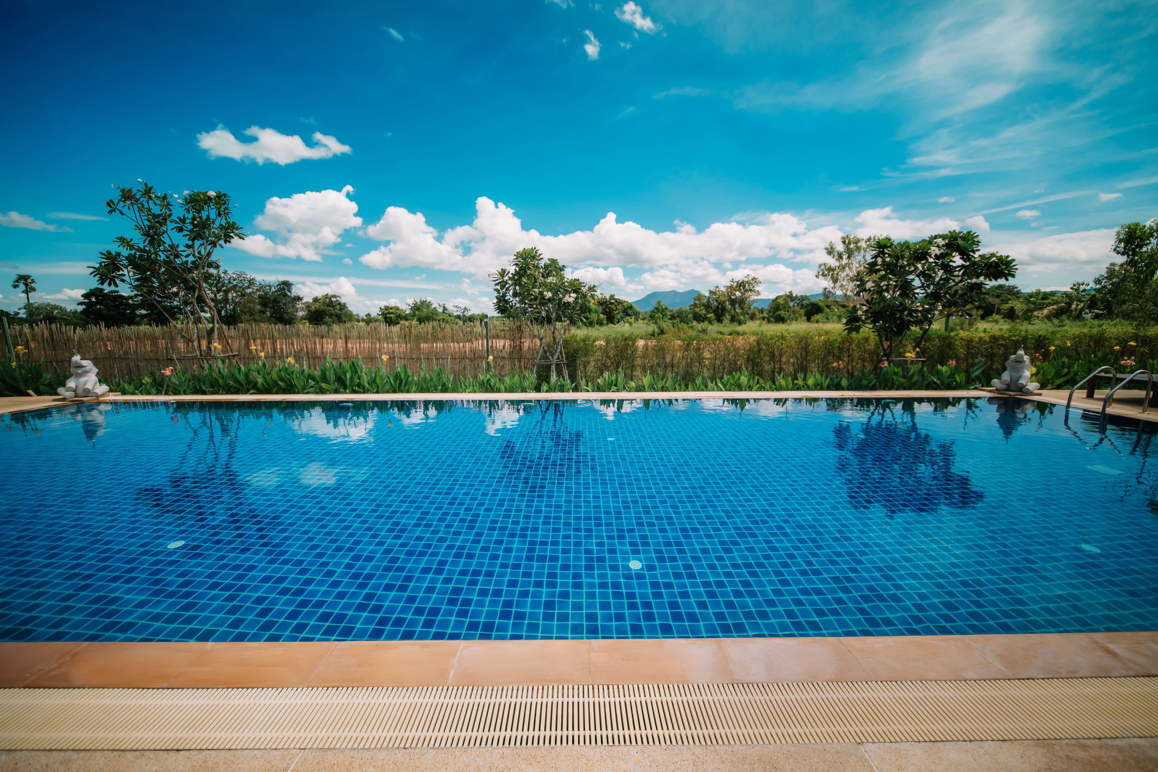 outdoor pool, pool umbrellas, pool loungers