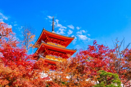 Tokyu Stay Kyoto Sanjo Karasuma - Image 35