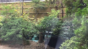 Un espace jardin agrémenté de divers arbres et arbustes, une clôture en bois et un bâtiment visible au loin.