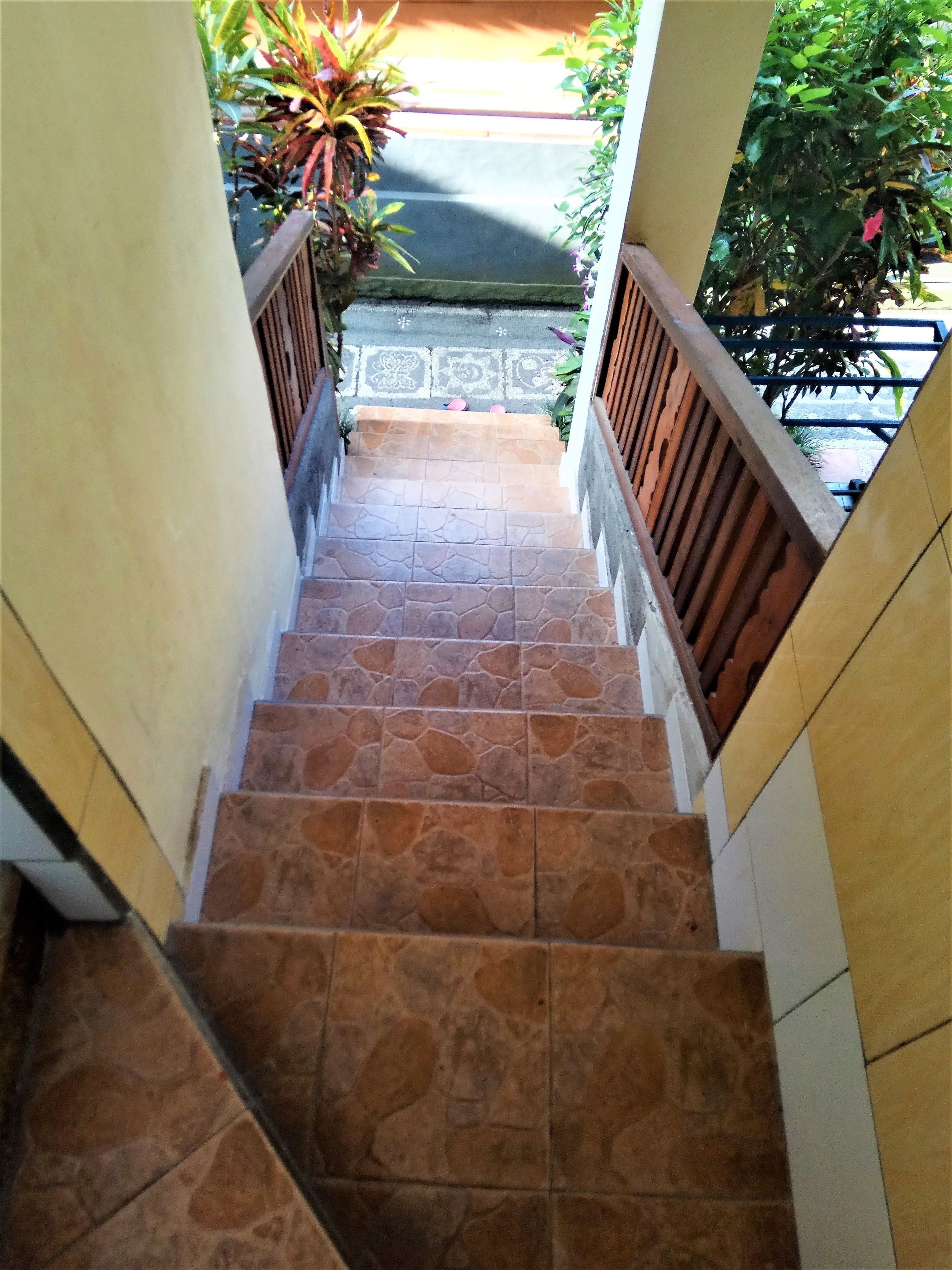 A staircase with stone steps and wooden railings, leading to a covered outdoor area with plants.