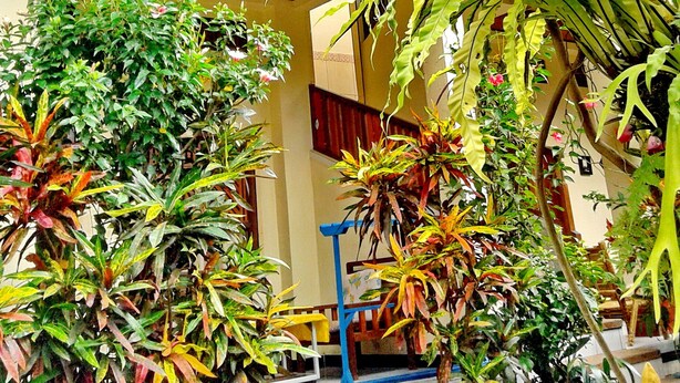 A traditional building with a tiled roof, a balcony with red flowers, and various potted plants. - Arjuna Homestay Ubud (Ubud)