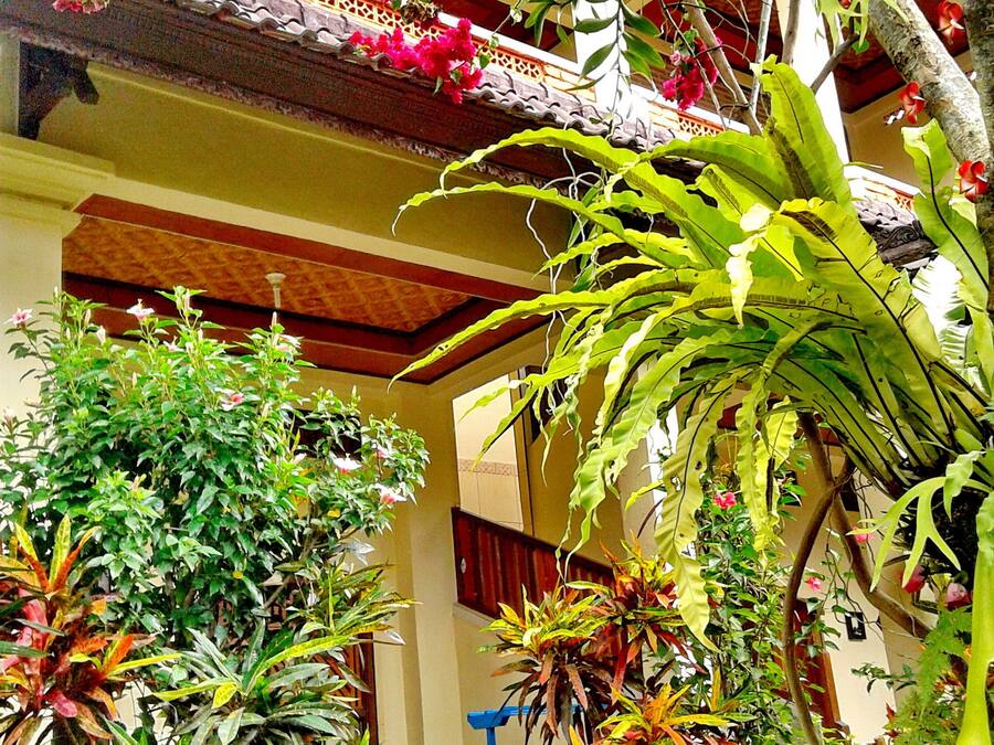 Jardim