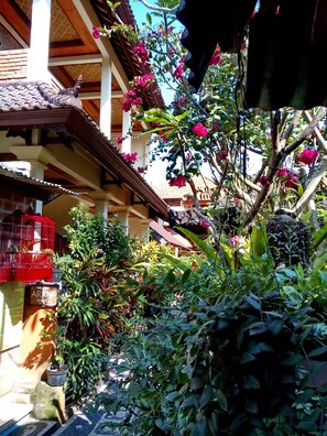 Garden - Arjuna Homestay Ubud (Ubud)