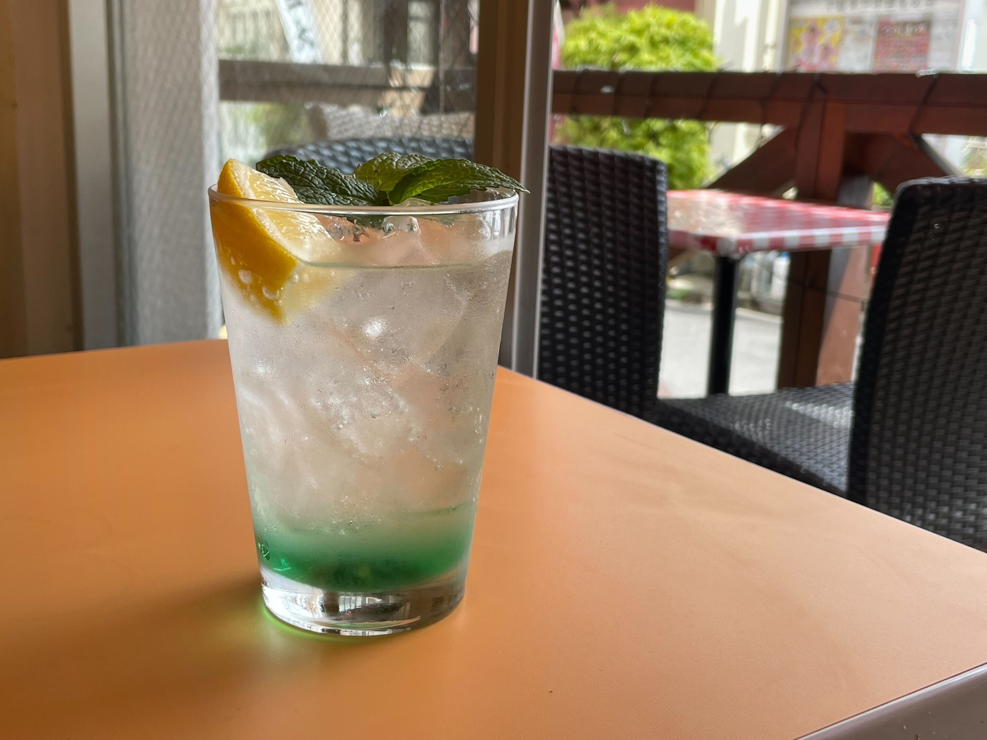 A glass of iced beverage with a slice of lemon and mint leaves on a table.