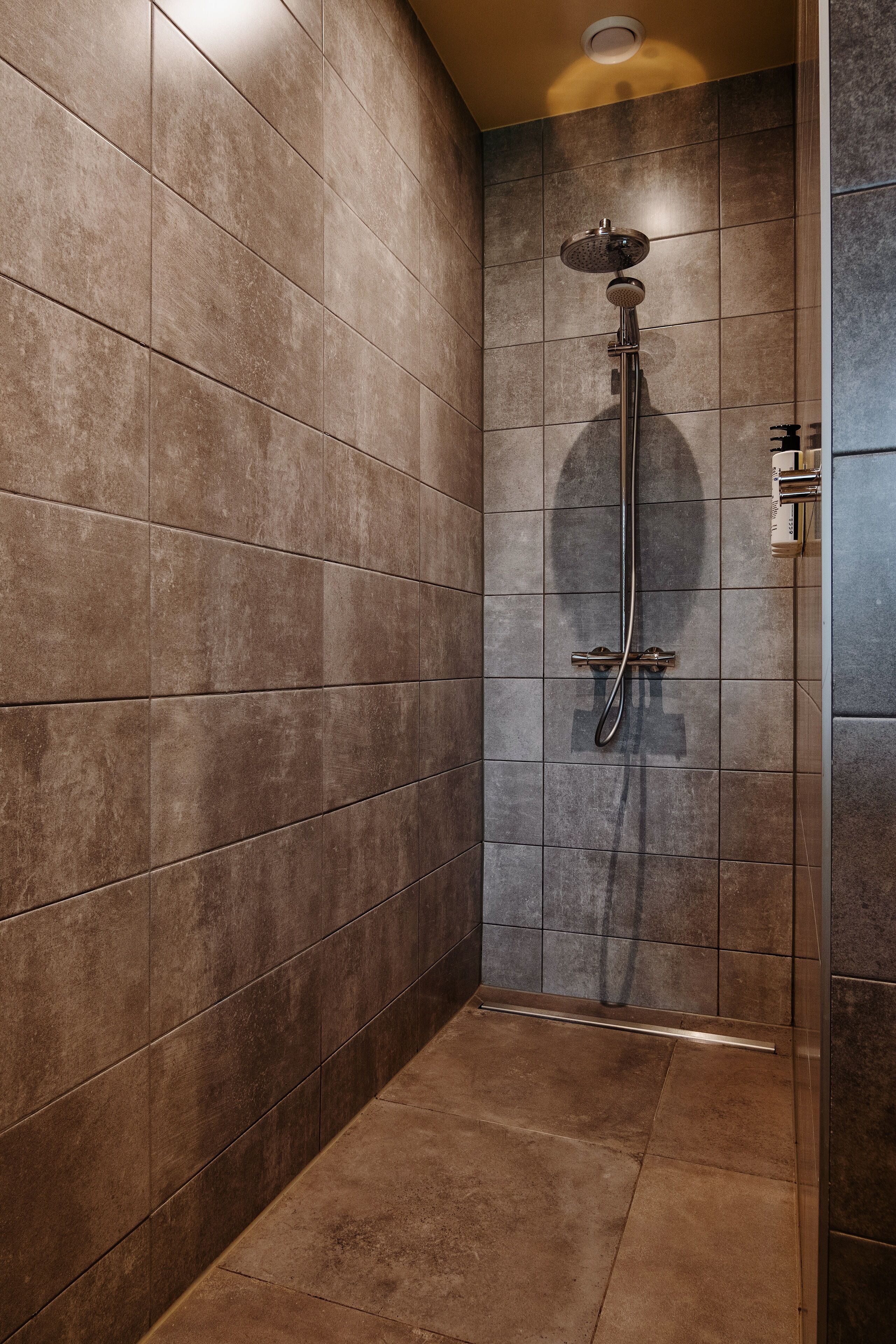 shower, free toiletries, hair dryer, slippers