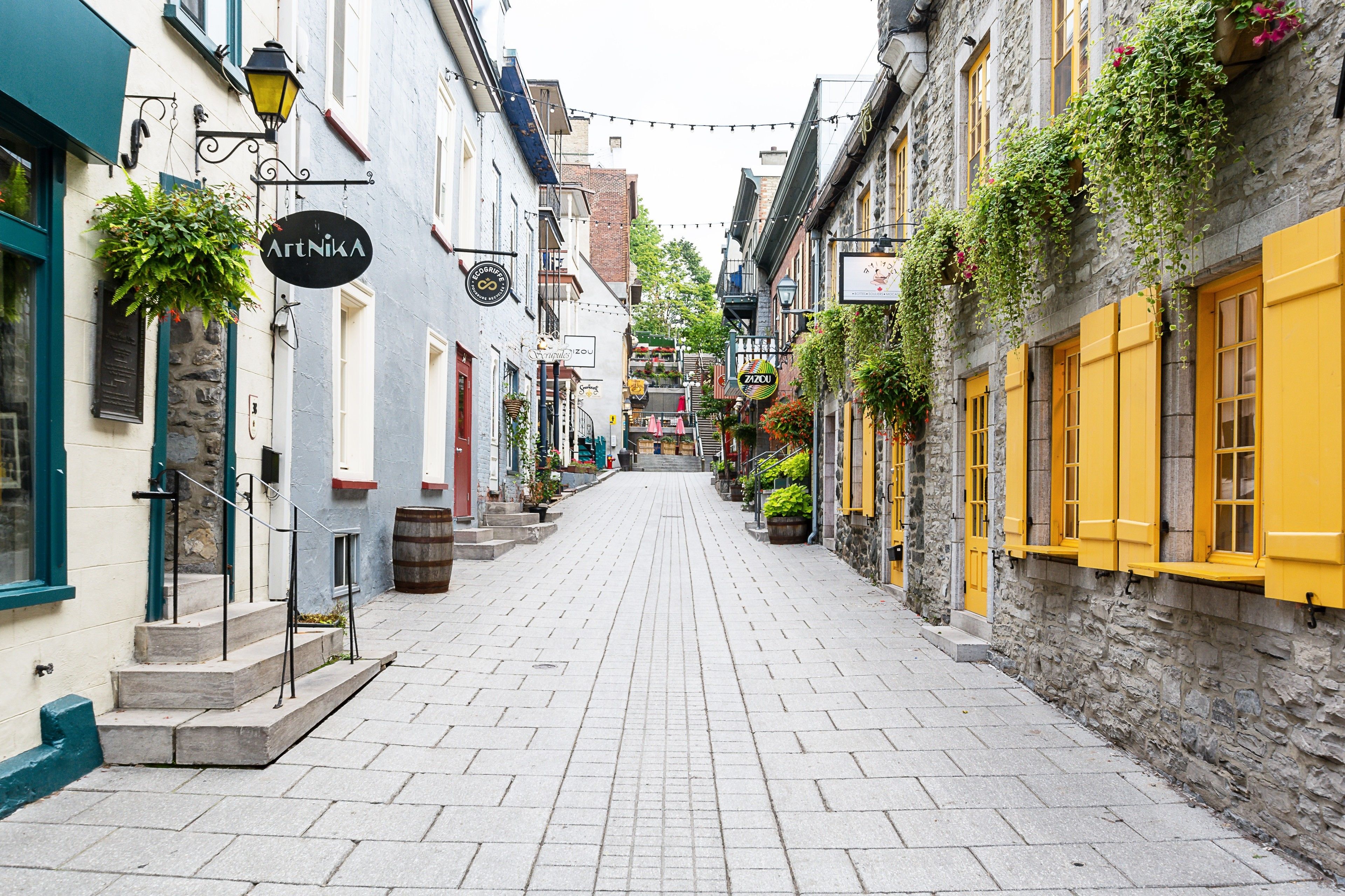 A narrow cobblestone street lined with historic buildings, some with yellow shutters and hanging plants.