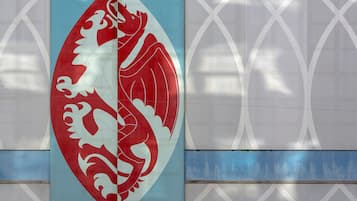 Una pared con un gran emblema simétrico que muestra un dragón.