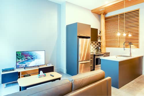 Loft, 1 chambre, rez-de-chaussée (C101) | Aire de séjour | Téléviseur à écran plat de 45 po avec télévision par câble, téléviseur