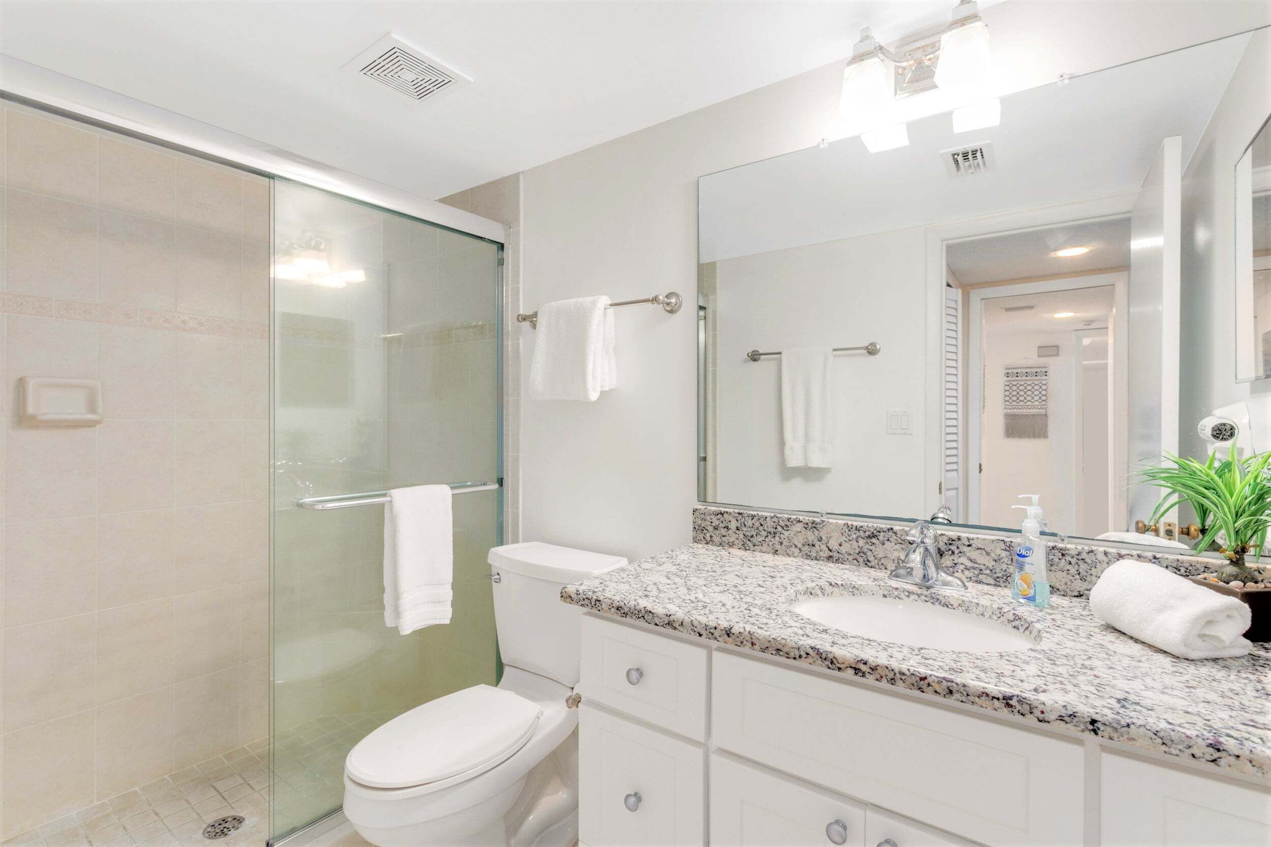 A bathroom with a glass shower enclosure, a white toilet, a granite countertop sink, a large mirror, and a potted plant.