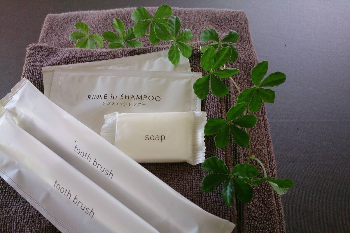 Combined shower/bathtub, free toiletries, hair dryer, towels