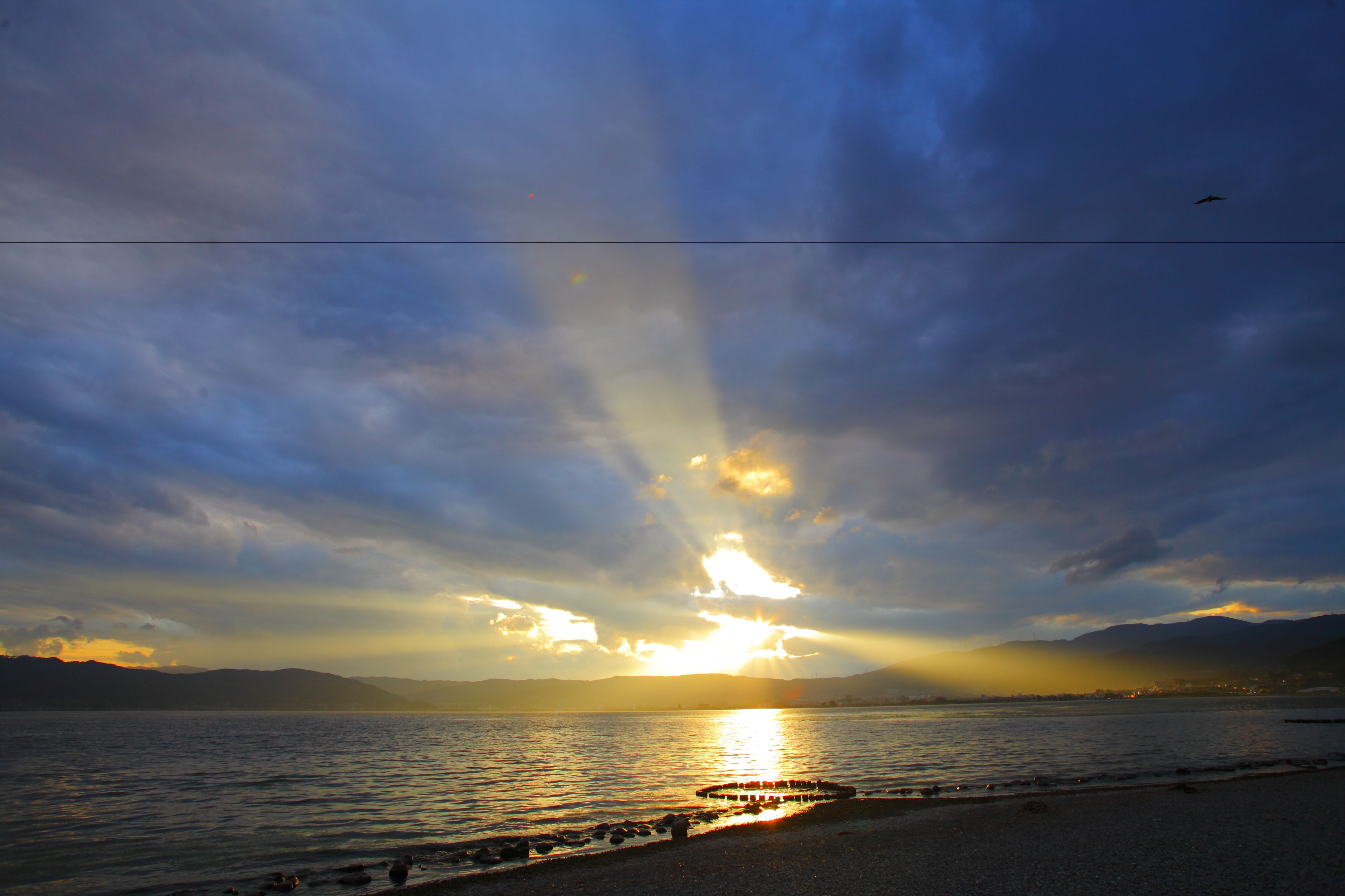 施設からの眺望