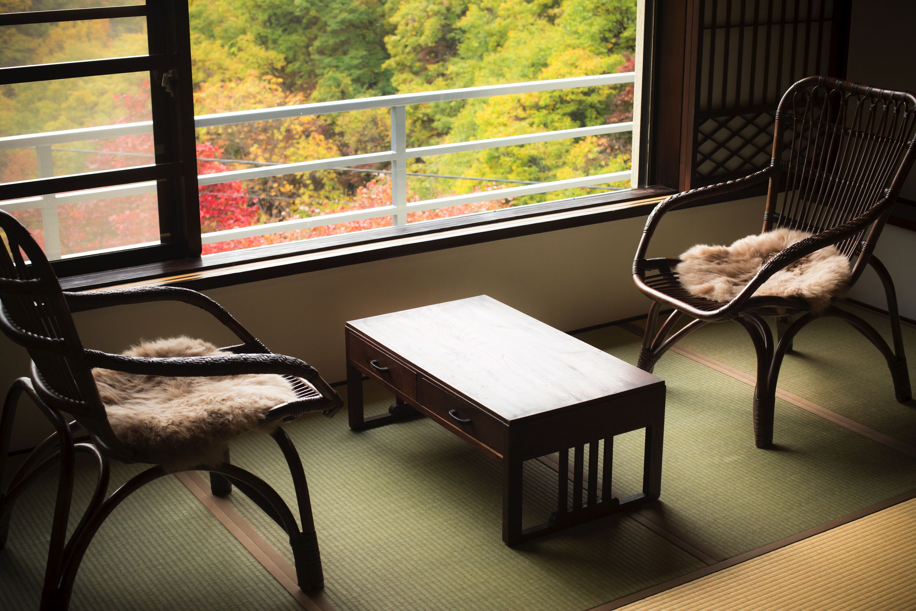 A traditional Japanese room with tatami flooring, a low wooden table, two dark wooden chairs with fur cushions, and a window with a view of autumn foliage.