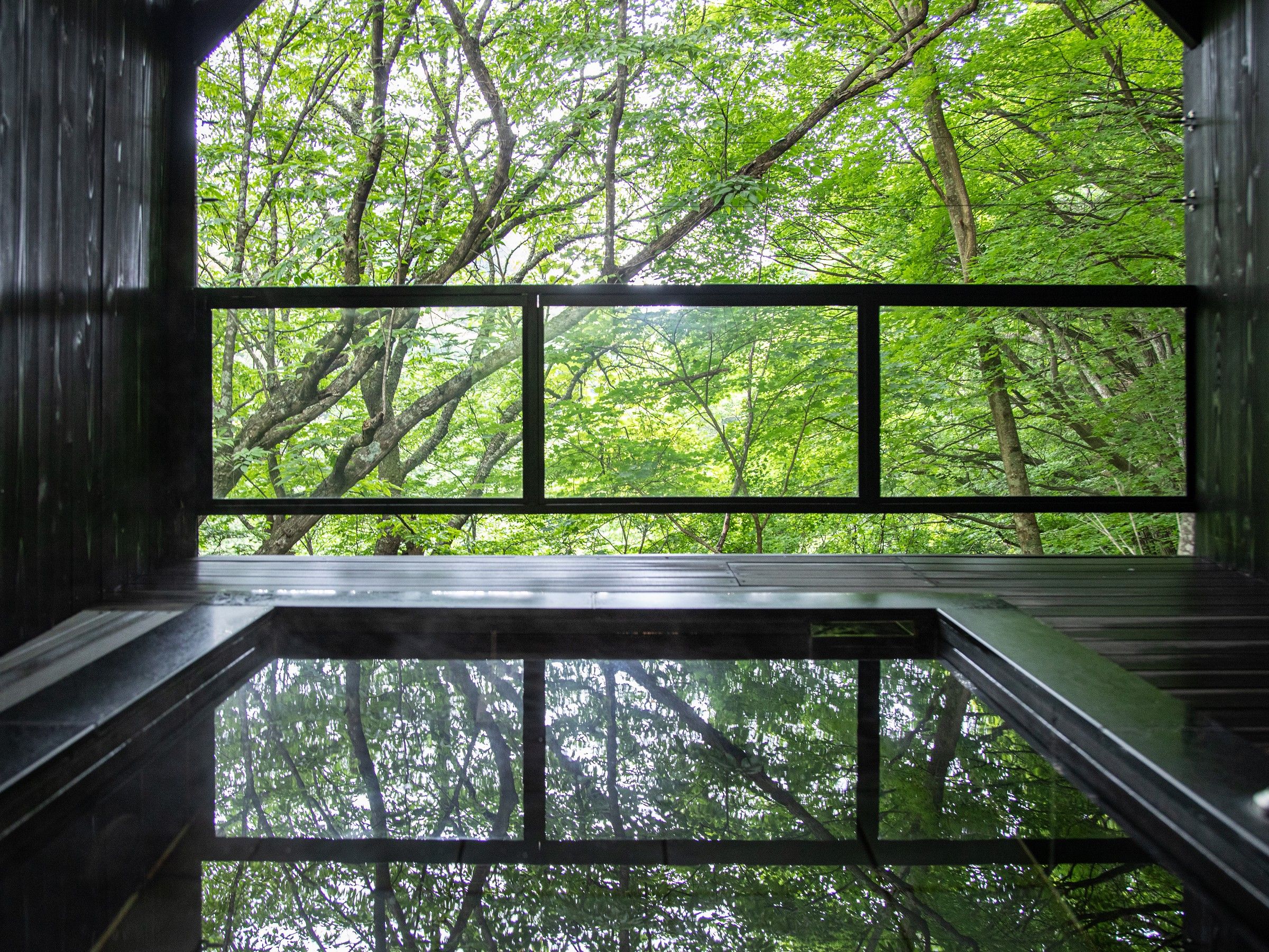 A room with a large window overlooking a dense forest.