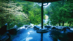 Une source thermale entourée de rochers et d’arbres.