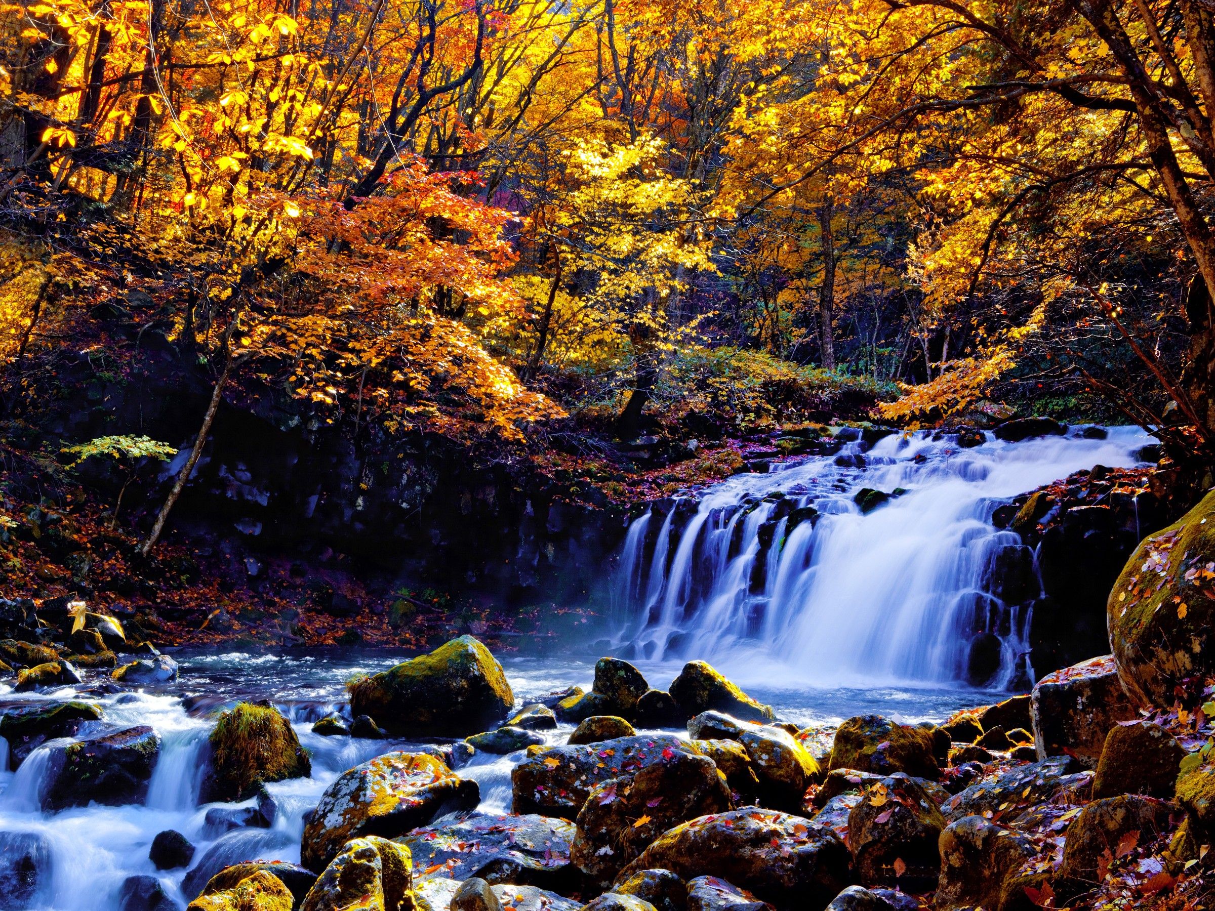 A waterfall surrounded by autumn foliage.