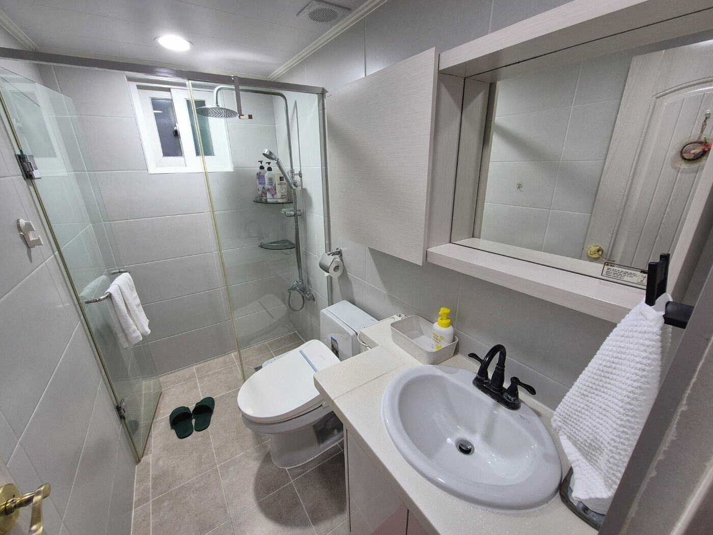 A modern bathroom with a glass-enclosed shower, a toilet, a sink, and a mirror above the sink.