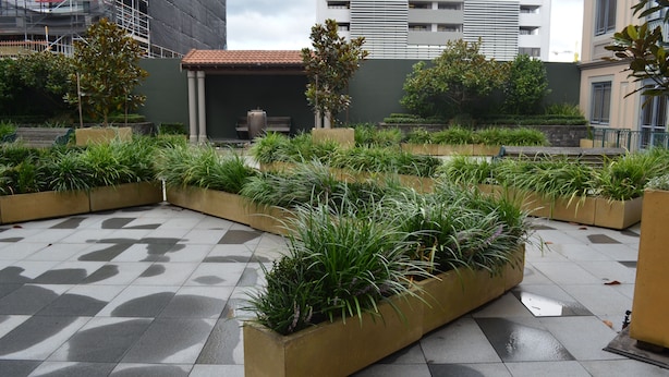 Exterior - Peaceful Two Bedroom Apartment (Auckland)