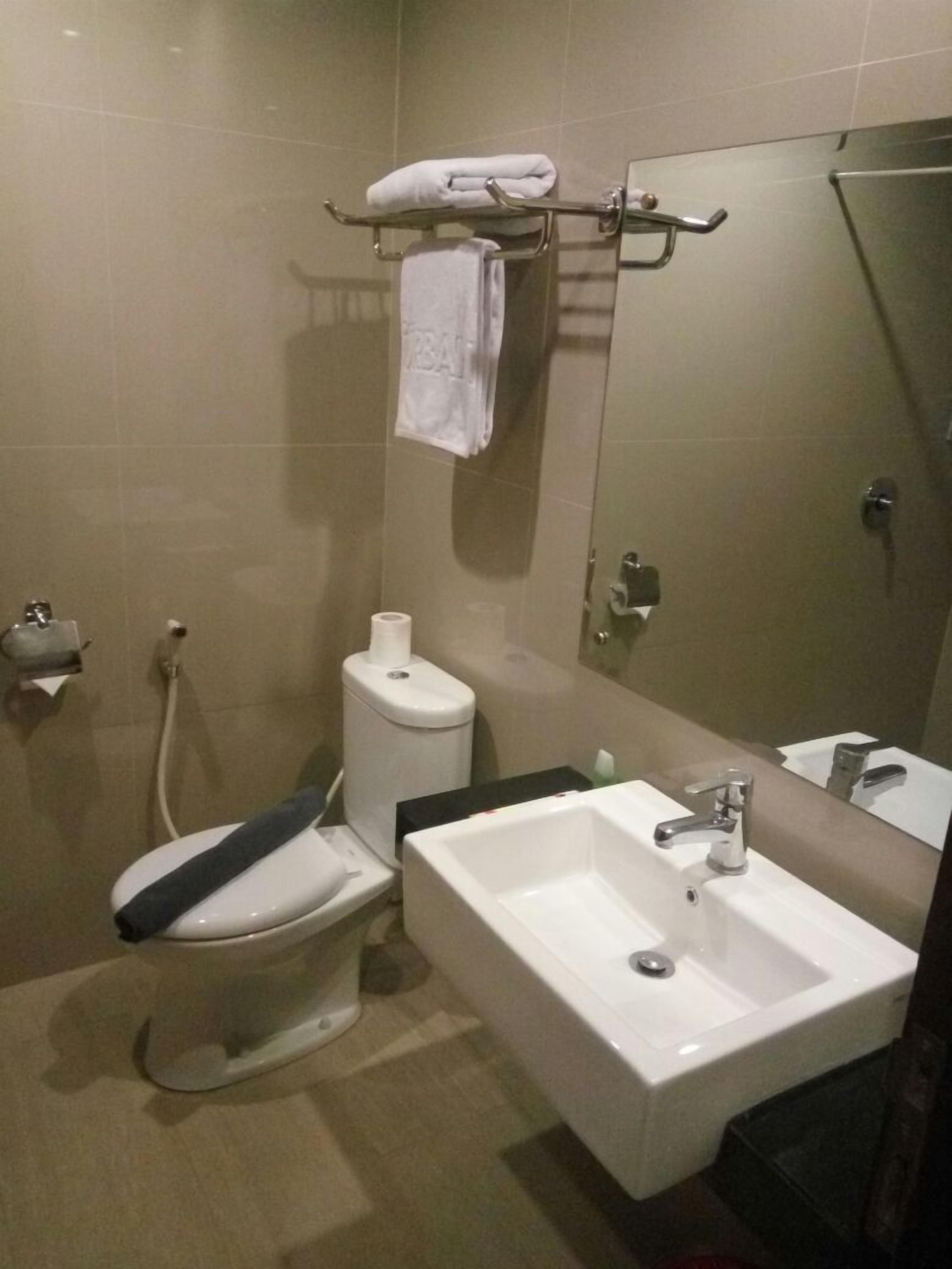 A bathroom with a toilet, a sink, and a mirror.