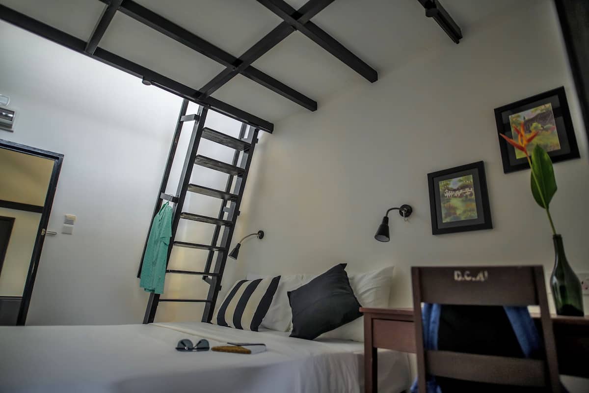 Une chambre d’hôtel avec un lit superposé, une échelle, un bureau, une chaise, un vase avec une plante et des tableaux encadrés accrochés au mur.