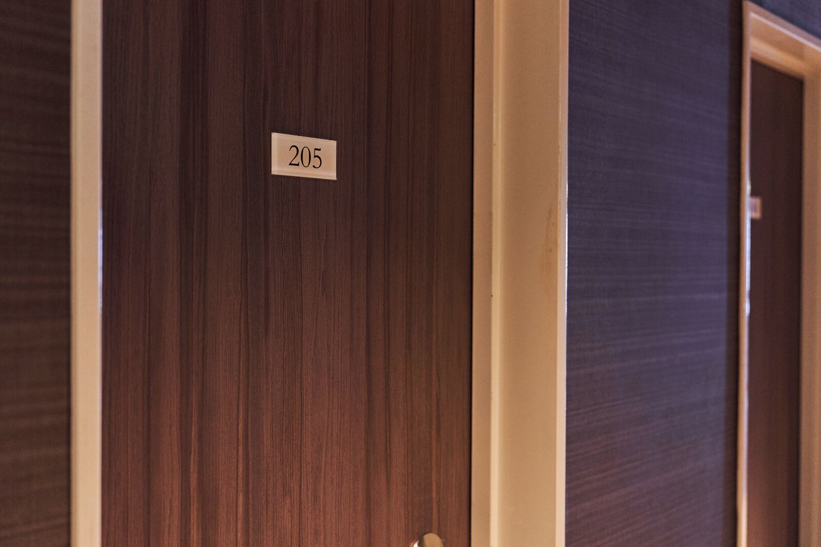 Una puerta de madera con una placa que indica el número 205.