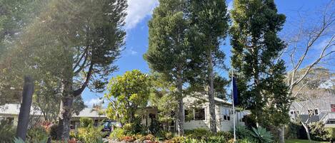 A residential area with tall trees, a paved driveway, and a house with a visible front yard.