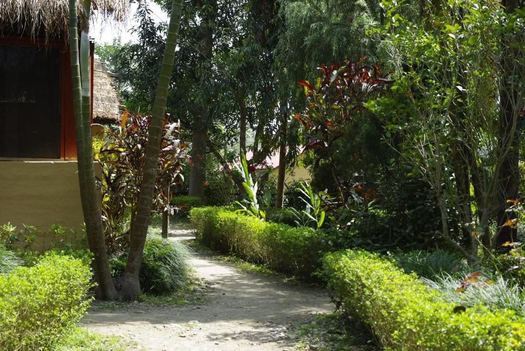 A pathway flanked by lush greenery and a thatched-roof structure.