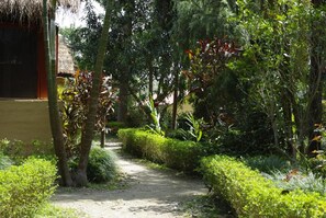 A pathway flanked by lush greenery and a thatched-roof structure. - Forest Hideaway Resort PVT LTD (Bardiya National Park)